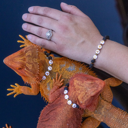Bearded Dragon Companion Set: Name w/Lava
