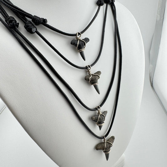 Necklace: Wire-Wrapped Shark Tooth