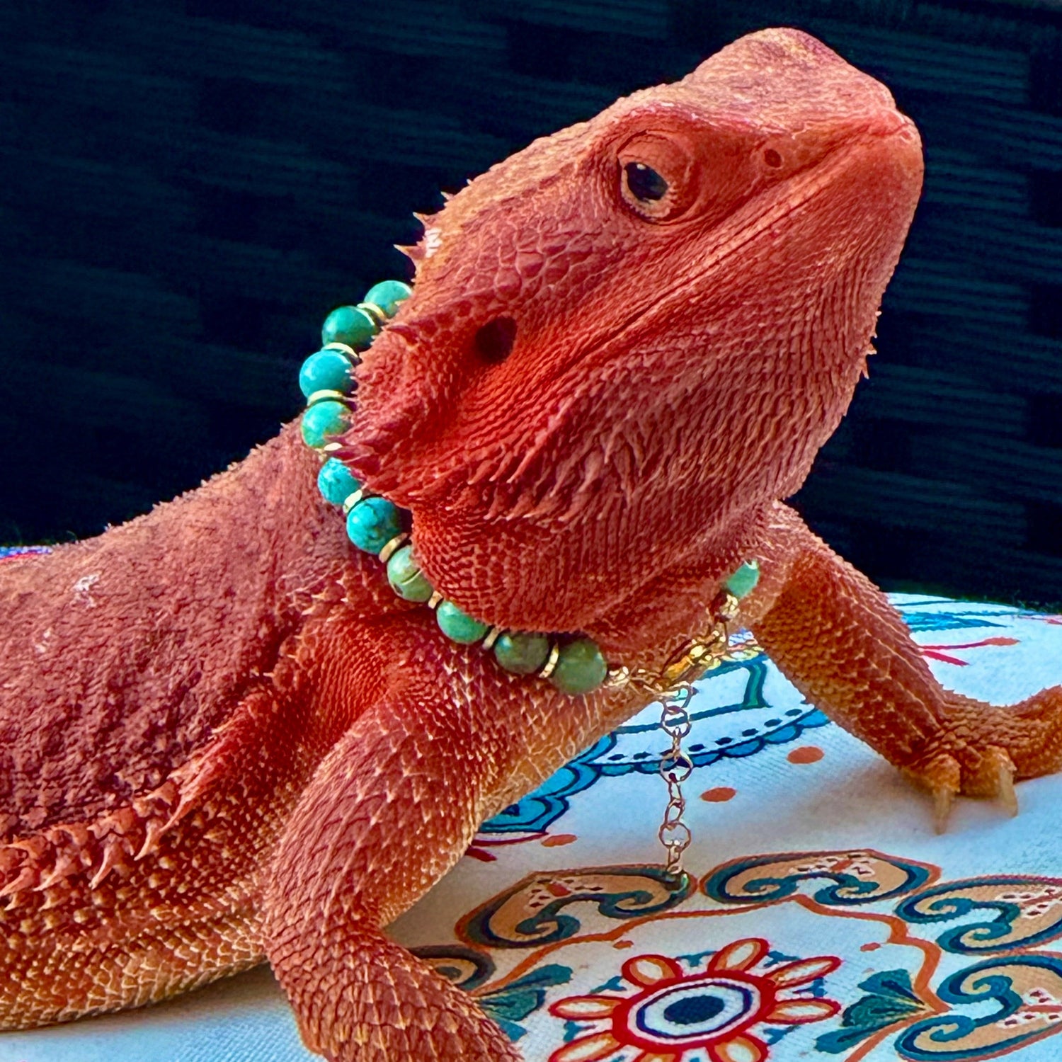 Bearded Dragons Necklaces (NEW)