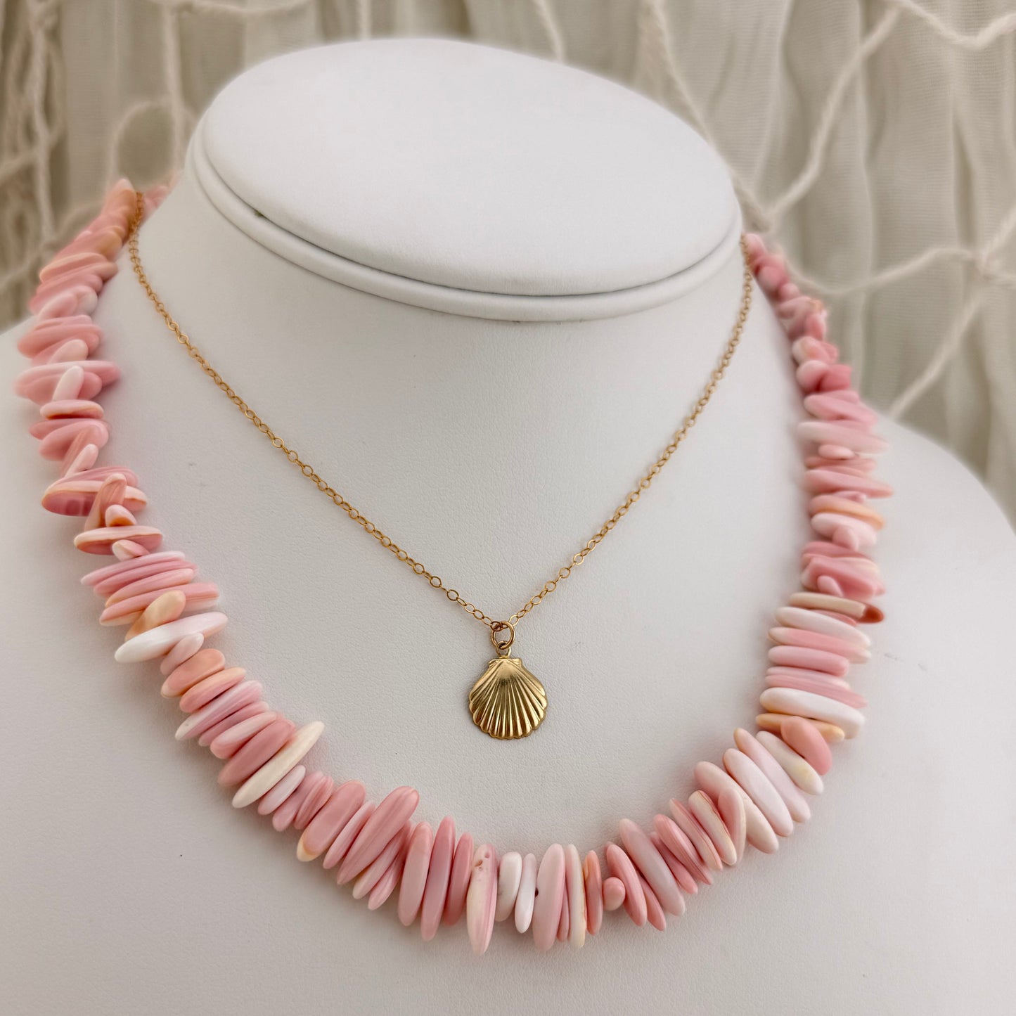 Coastal Shell