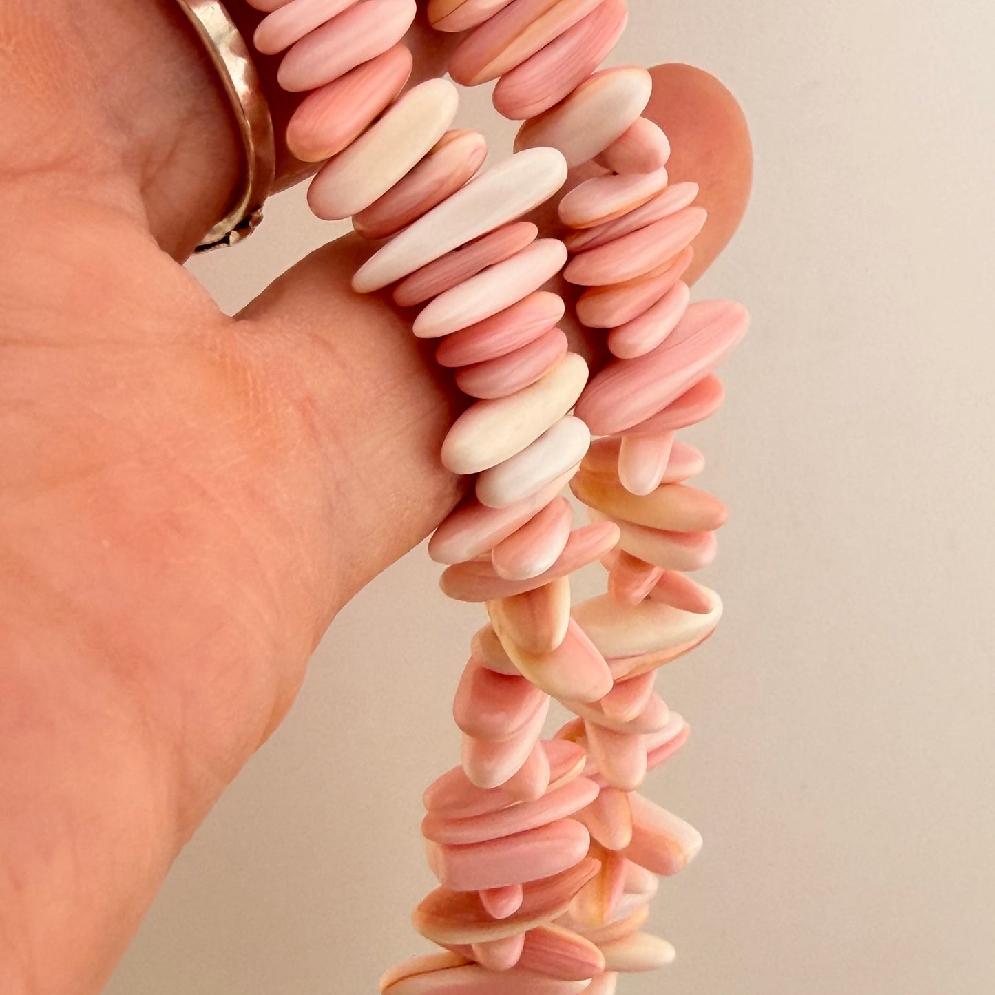 Coastal Shell
